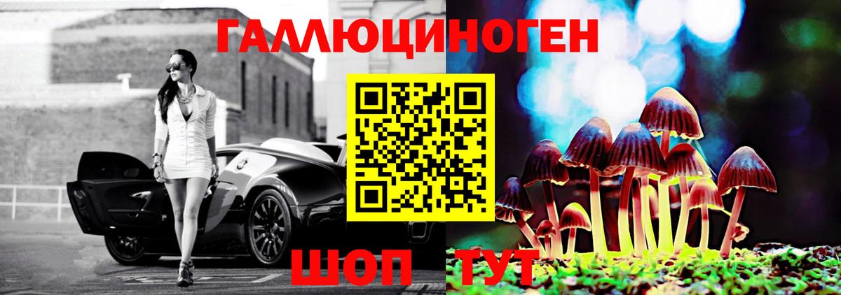 Кстово  Псилоцибиновые грибы ЛСД  Галлюциногенные грибы Psilocybine cubensis  Вход с VPN 